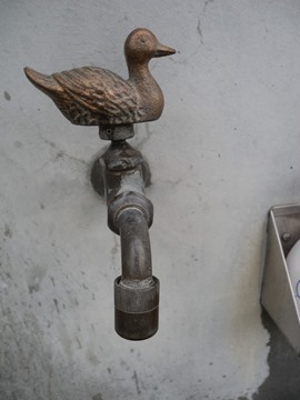 手洗い蛇口（カモ的な鳥）＠日本平動物園
